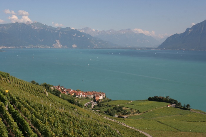 Lavaux - 010